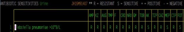 Urine antibiogram