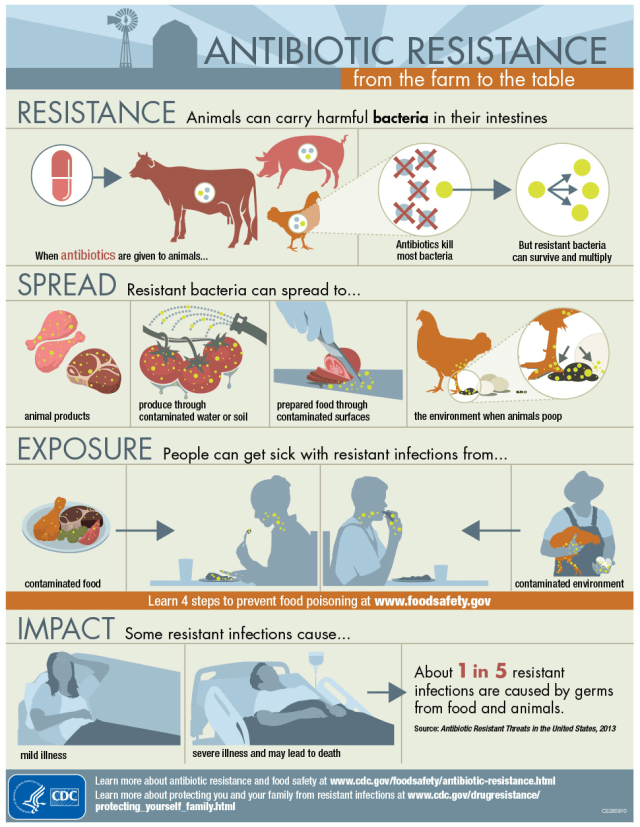 cec-farming-antibiotics